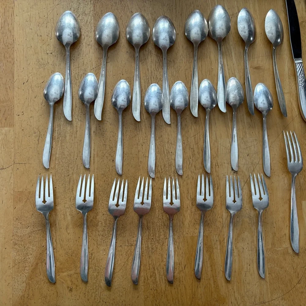 Wm Rogers Oneida Wildwood‎ I Always Silver Plate 8 Place Setting 40 Pieces 1958
